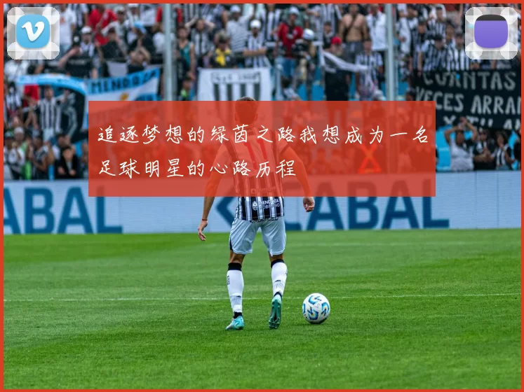 追逐梦想的绿茵之路我想成为一名足球明星的心路历程