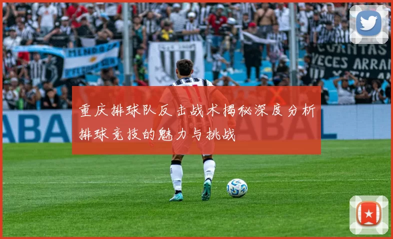 重庆排球队反击战术揭秘深度分析排球竞技的魅力与挑战