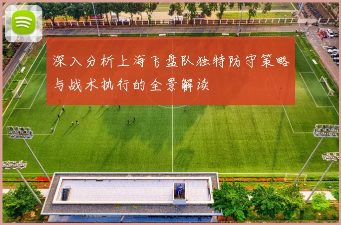 深入分析上海飞盘队独特防守策略与战术执行的全景解读