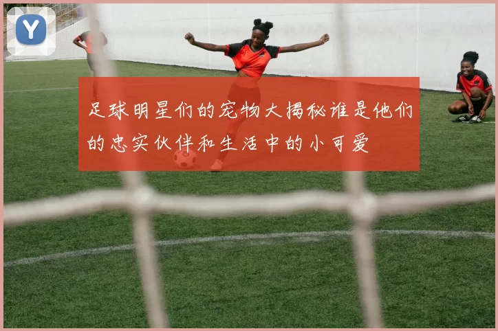足球明星们的宠物大揭秘谁是他们的忠实伙伴和生活中的小可爱