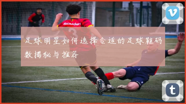 足球明星如何选择合适的足球鞋码数揭秘与推荐