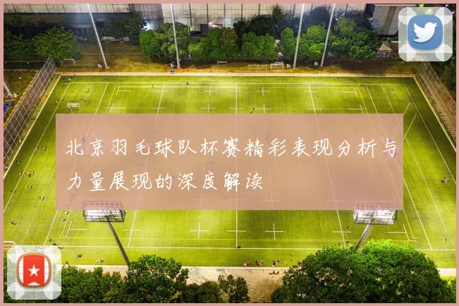 北京羽毛球队杯赛精彩表现分析与力量展现的深度解读