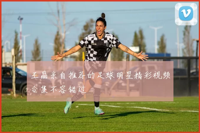 王晶亲自推荐的足球明星精彩视频合集不容错过