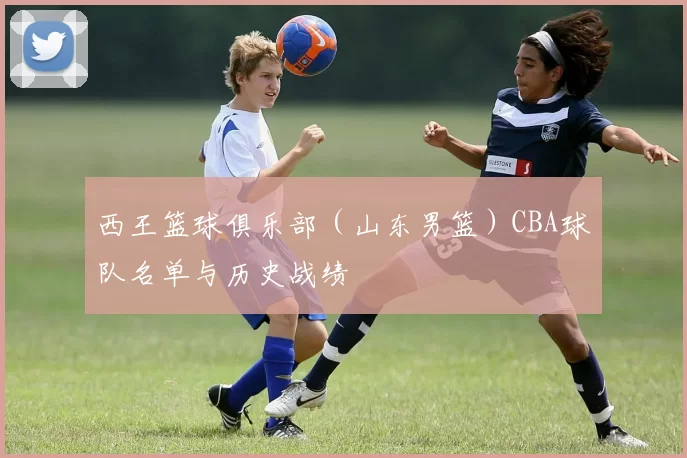西王篮球俱乐部（山东男篮）CBA球队名单与历史战绩