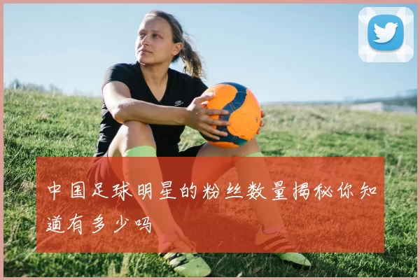 中国足球明星的粉丝数量揭秘你知道有多少吗