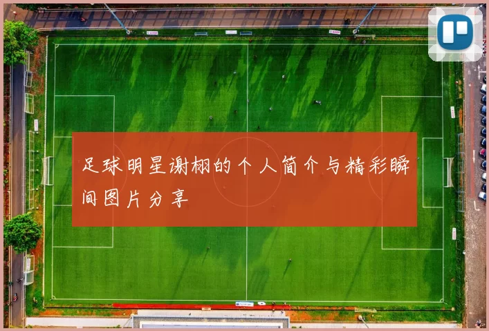 足球明星谢栩的个人简介与精彩瞬间图片分享