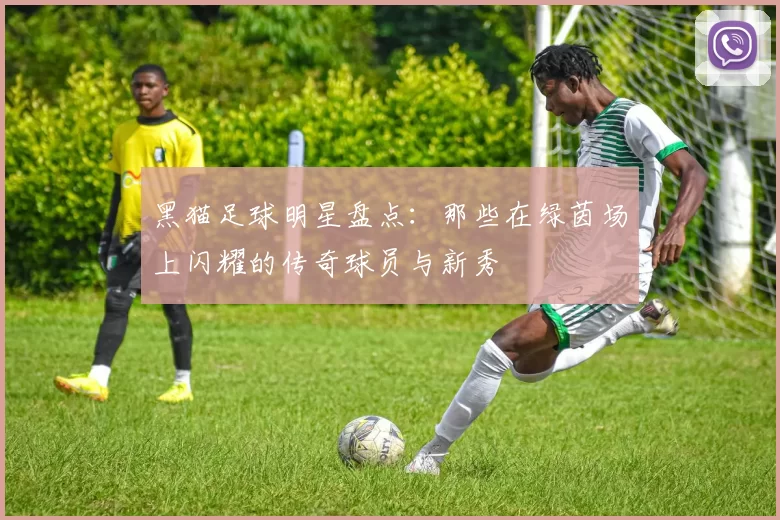 黑猫足球明星盘点：那些在绿茵场上闪耀的传奇球员与新秀