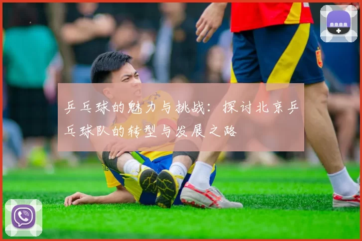 乒乓球的魅力与挑战：探讨北京乒乓球队的转型与发展之路