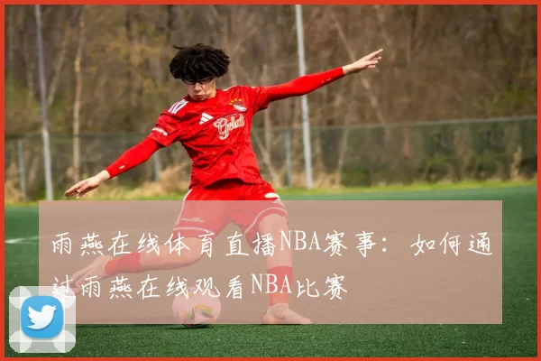 雨燕在线体育直播NBA赛事：如何通过雨燕在线观看NBA比赛