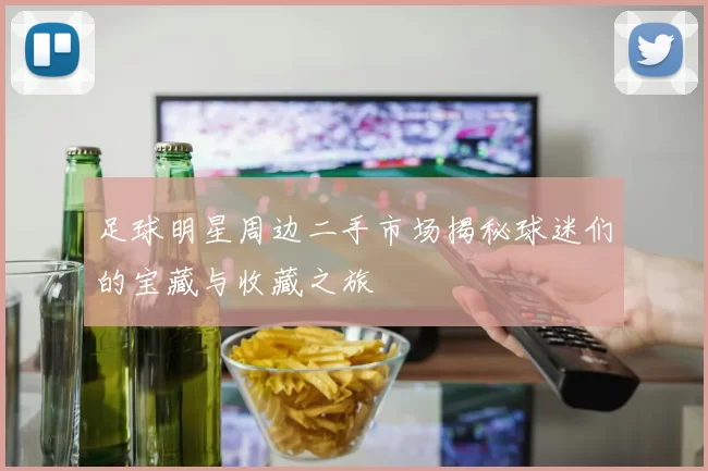 足球明星周边二手市场揭秘球迷们的宝藏与收藏之旅
