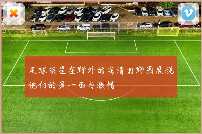 足球明星在野外的高清打野图展现他们的另一面与激情