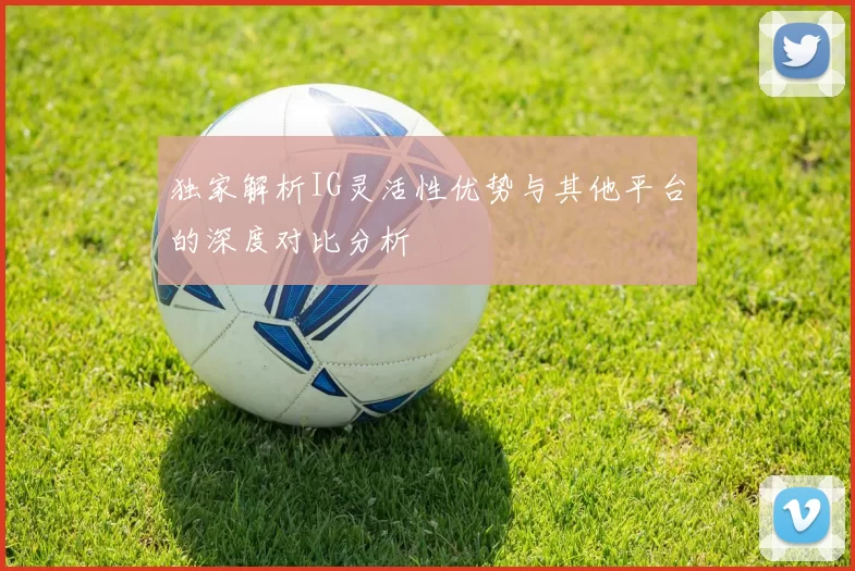 独家解析IG灵活性优势与其他平台的深度对比分析