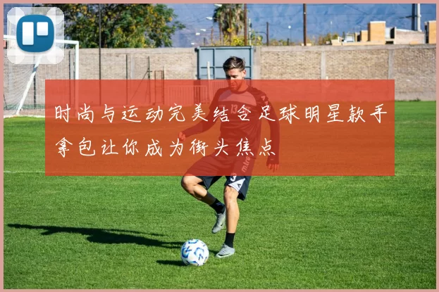 时尚与运动完美结合足球明星款手拿包让你成为街头焦点