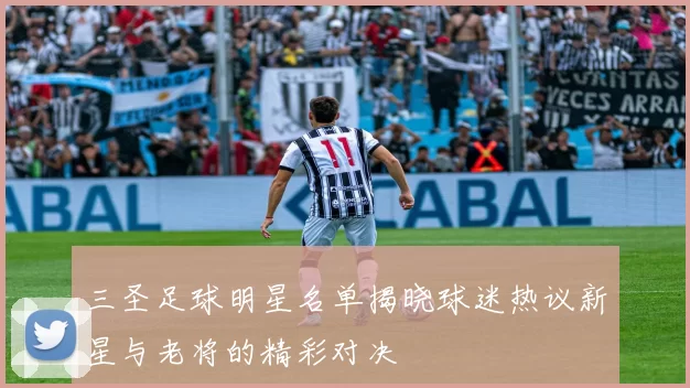 三圣足球明星名单揭晓球迷热议新星与老将的精彩对决