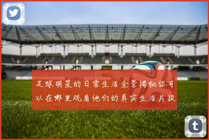 足球明星的日常生活全景揭秘你可以在哪里观看他们的真实生活片段