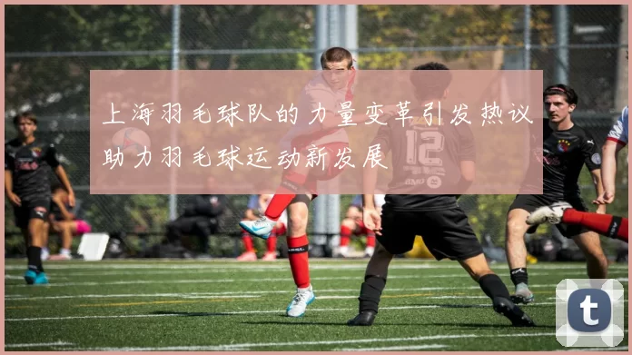 上海羽毛球队的力量变革引发热议助力羽毛球运动新发展