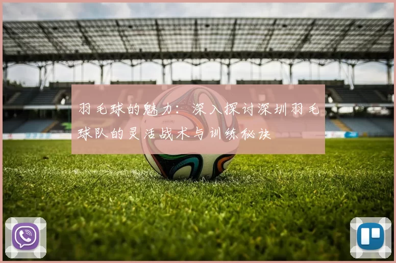 羽毛球的魅力：深入探讨深圳羽毛球队的灵活战术与训练秘诀