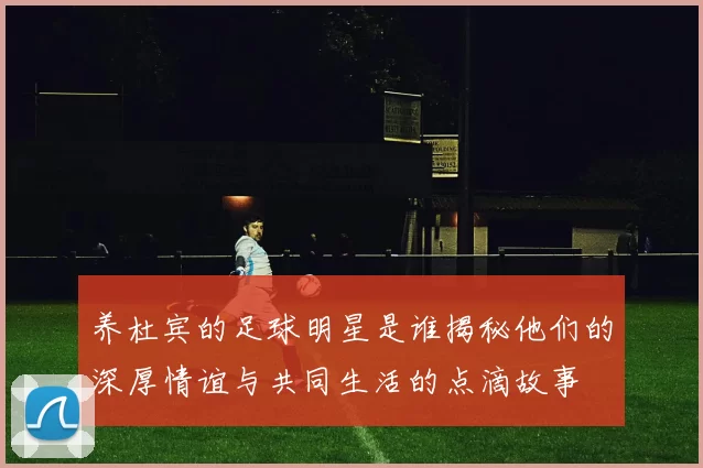 养杜宾的足球明星是谁揭秘他们的深厚情谊与共同生活的点滴故事