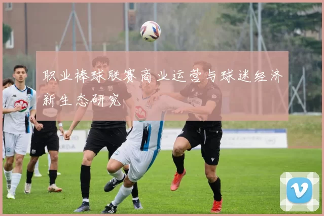 职业棒球联赛商业运营与球迷经济新生态研究