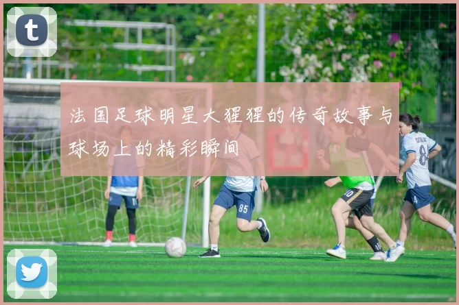 法国足球明星大猩猩的传奇故事与球场上的精彩瞬间