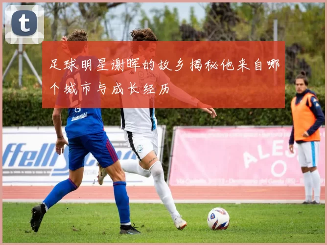 足球明星谢晖的故乡揭秘他来自哪个城市与成长经历