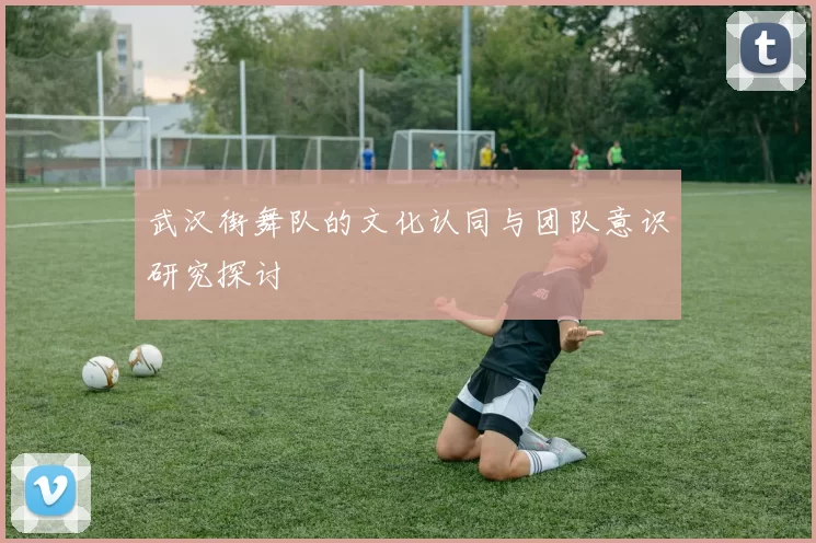 武汉街舞队的文化认同与团队意识研究探讨