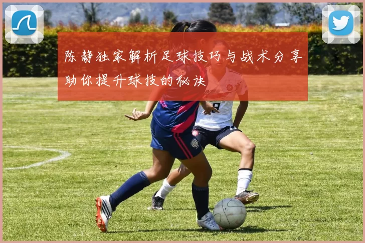 陈静独家解析足球技巧与战术分享助你提升球技的秘诀