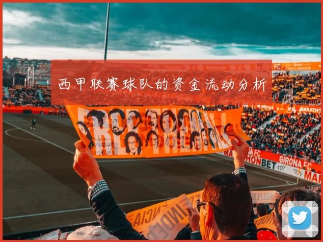 西甲联赛球队的资金流动分析
