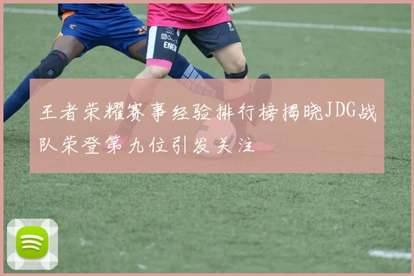 王者荣耀赛事经验排行榜揭晓JDG战队荣登第九位引发关注