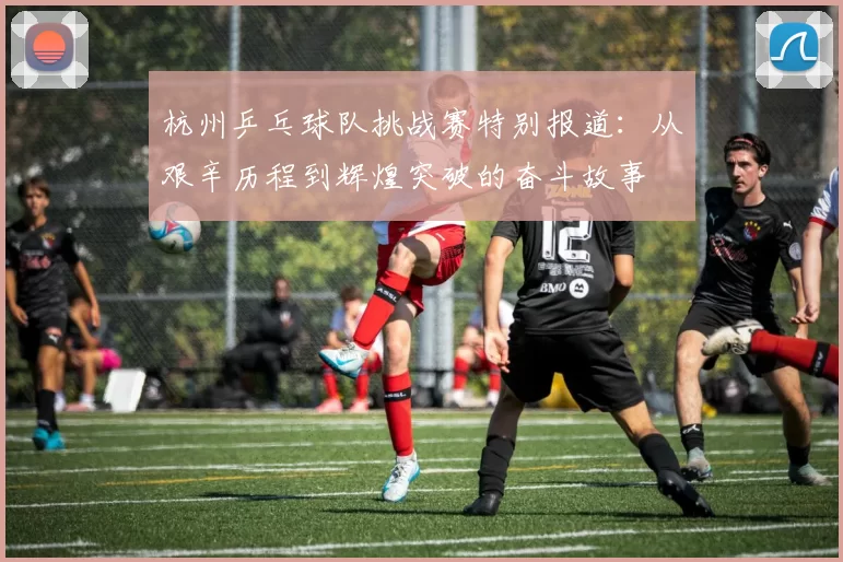 杭州乒乓球队挑战赛特别报道：从艰辛历程到辉煌突破的奋斗故事